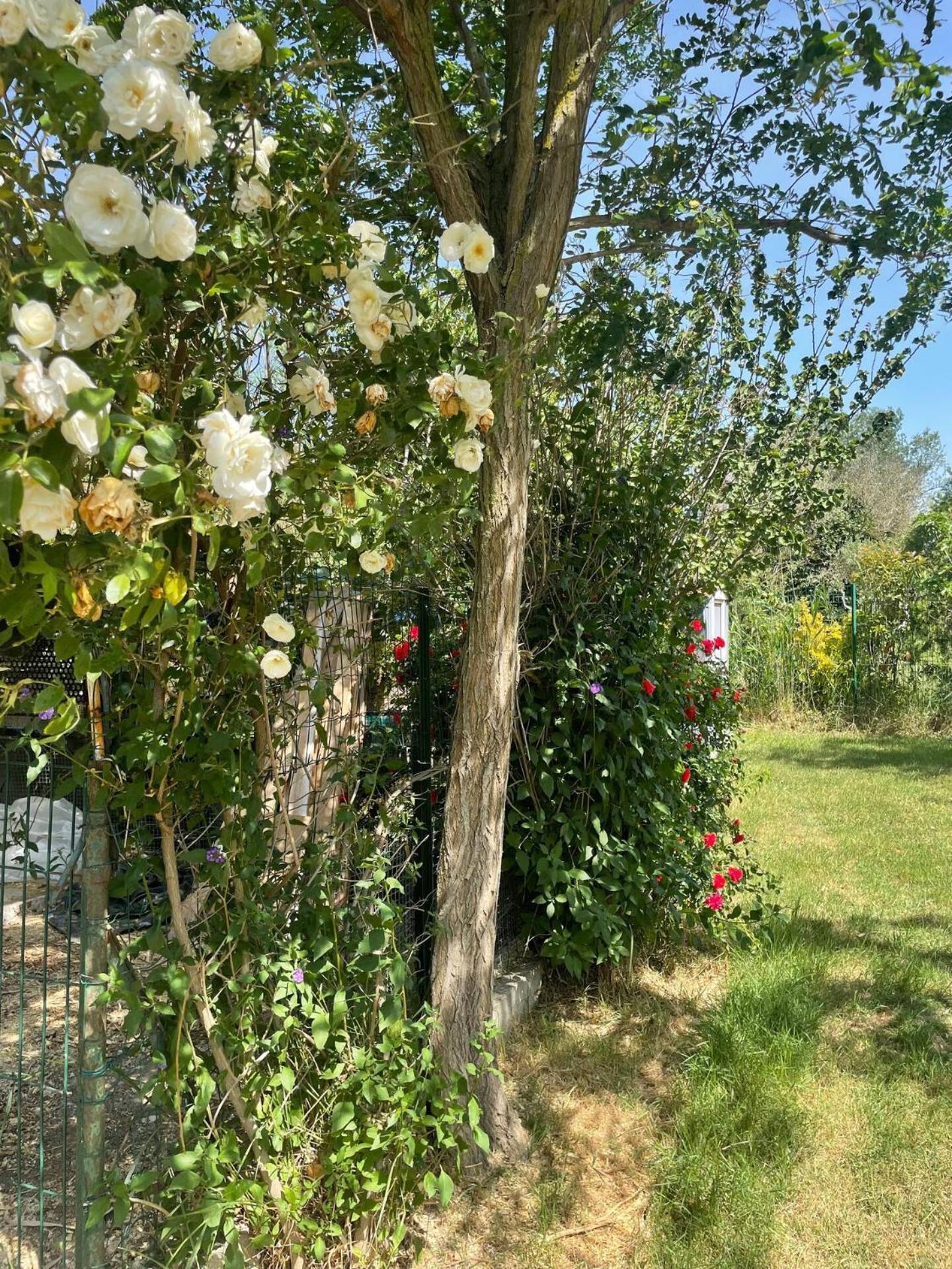 Mas Provencal De 120M2 En Camargue, Avec Piscine Et Parking Inclus, Ideal Pour Des Vacances Arles Bagian luar foto